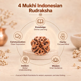 4 Mukhi Rudraksha (Indonesian)
