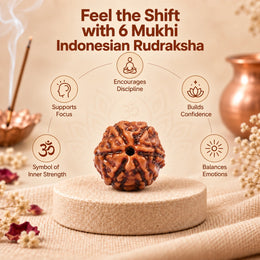 6 Mukhi Rudraksha (Indonesian)