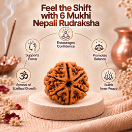 6 Mukhi Rudraksha (Nepali)
