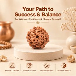 8 Mukhi Rudraksha (Indonesian)