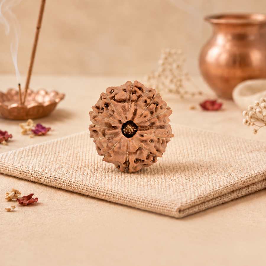 12 Mukhi Rudraksha (Indonesian)
