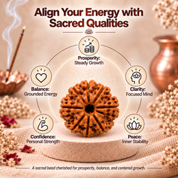 8 Mukhi Rudraksha (Nepali)