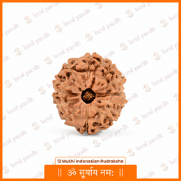 12 Mukhi Rudraksha (Indonesian)