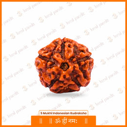 5 Mukhi Rudraksha (Indonesian)