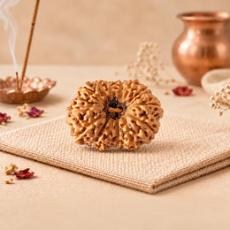 15 Mukhi Rudraksha (Indonesian)