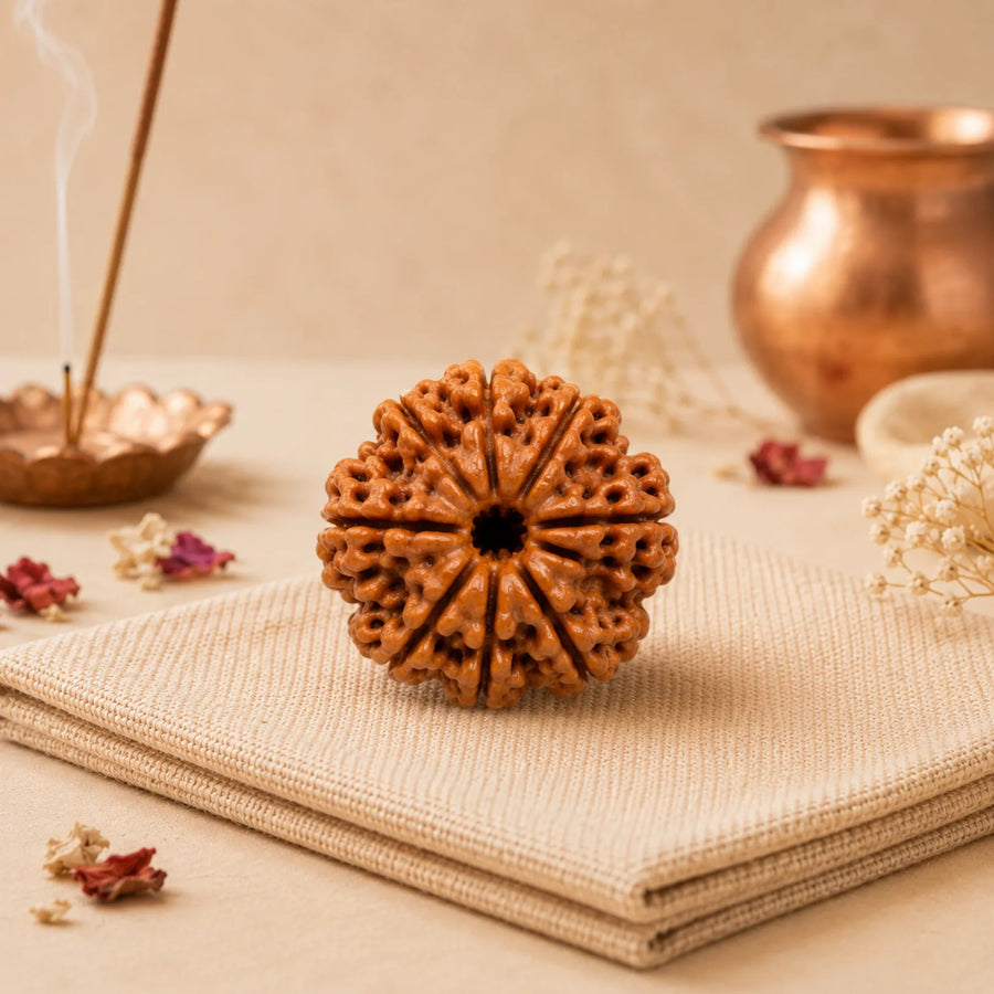 8 Mukhi Rudraksha (Nepali)