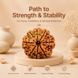 8 Mukhi Rudraksha (Nepali)