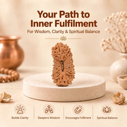 24 Mukhi Rudraksha (Indonesian)