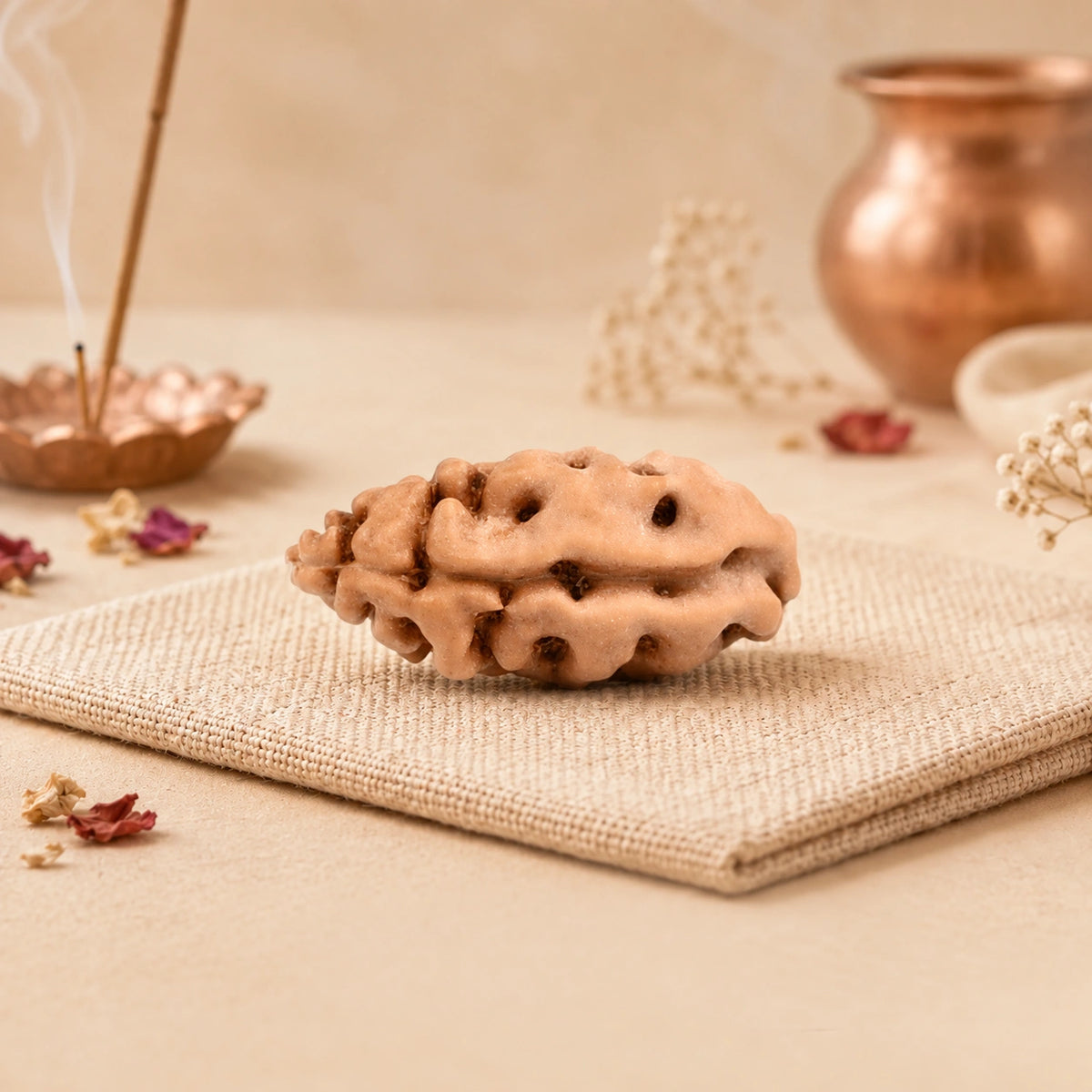 Indonesian Rudraksha collection guide