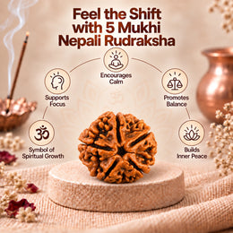 5 Mukhi Rudraksha (Nepali)