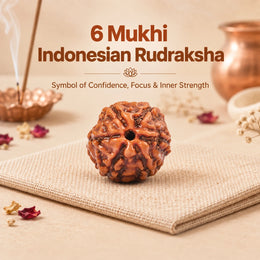 6 Mukhi Rudraksha (Indonesian)