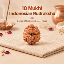 10 Mukhi Rudraksha (Indonesian)