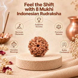 8 Mukhi Rudraksha (Indonesian)