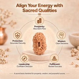 21 Mukhi Rudraksha (Indonesian)