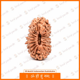 20 Mukhi Rudraksha (Indonesian)