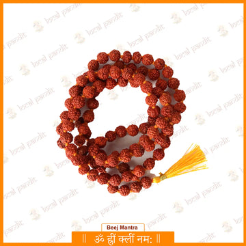 5 Mukhi Rudraksha