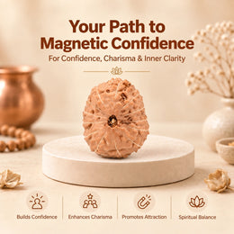13 Mukhi Rudraksha (Indonesian)