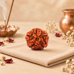 5 Mukhi Rudraksha (Indonesian)