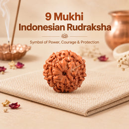 9 Mukhi Rudraksha (Indonesian)