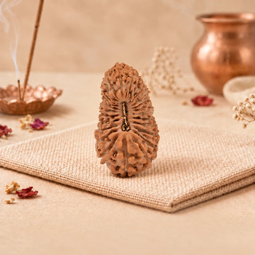 25 Mukhi Rudraksha