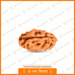 2 Mukhi Rudraksha (Indonesian)