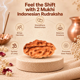 2 Mukhi Rudraksha (Indonesian)
