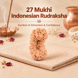 27 Mukhi Rudraksha (Indonesian)