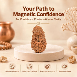 25 Mukhi Rudraksha (Indonesian)