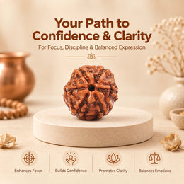 6 Mukhi Rudraksha (Indonesian)