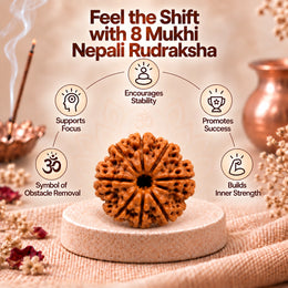 8 Mukhi Rudraksha (Nepali)