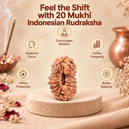 20 Mukhi Rudraksha (Indonesian)