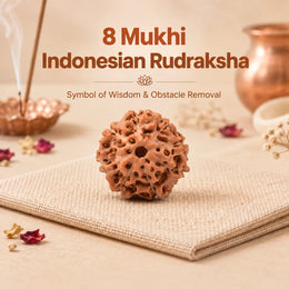 8 Mukhi Rudraksha (Indonesian)