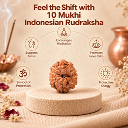 10 Mukhi Rudraksha (Indonesian)