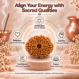 10 Mukhi Rudraksha (Nepali)