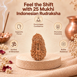 25 Mukhi Rudraksha (Indonesian)