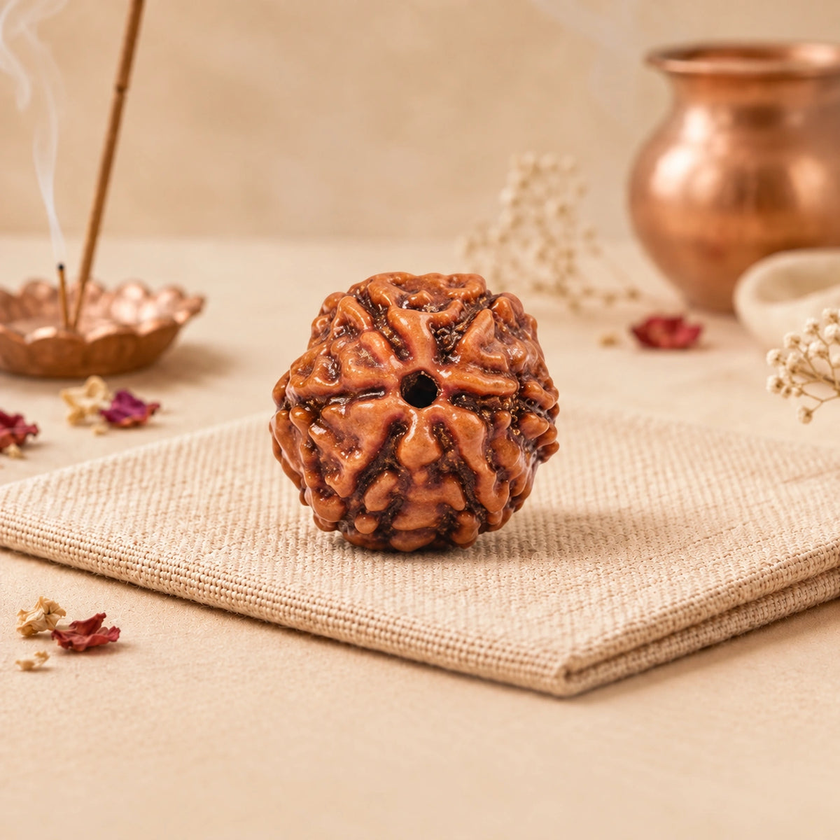 Five natural faces of a 5 Mukhi Rudraksha