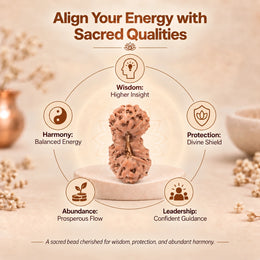 22 Mukhi Rudraksha (Indonesian)