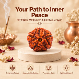 5 Mukhi Rudraksha (Indonesian)