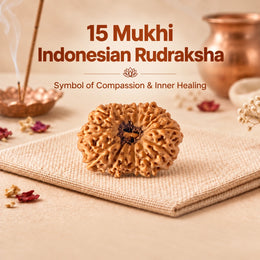 15 Mukhi Rudraksha (Indonesian)