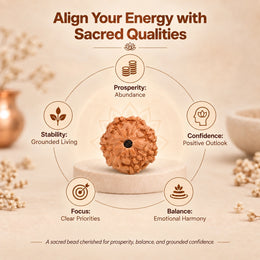 7 Mukhi Rudraksha (Indonesian)