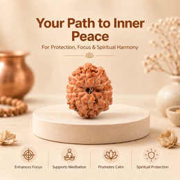 10 Mukhi Rudraksha (Indonesian)